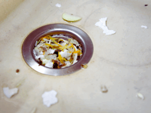 Food scraps that should never be put down disposal causing clog