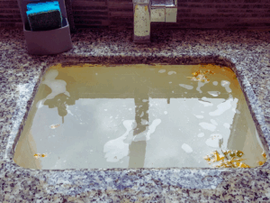 Standing water in sink because of clogged garbage disposal
