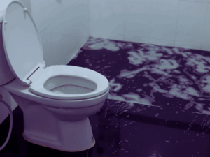 toilet leaking from bottom