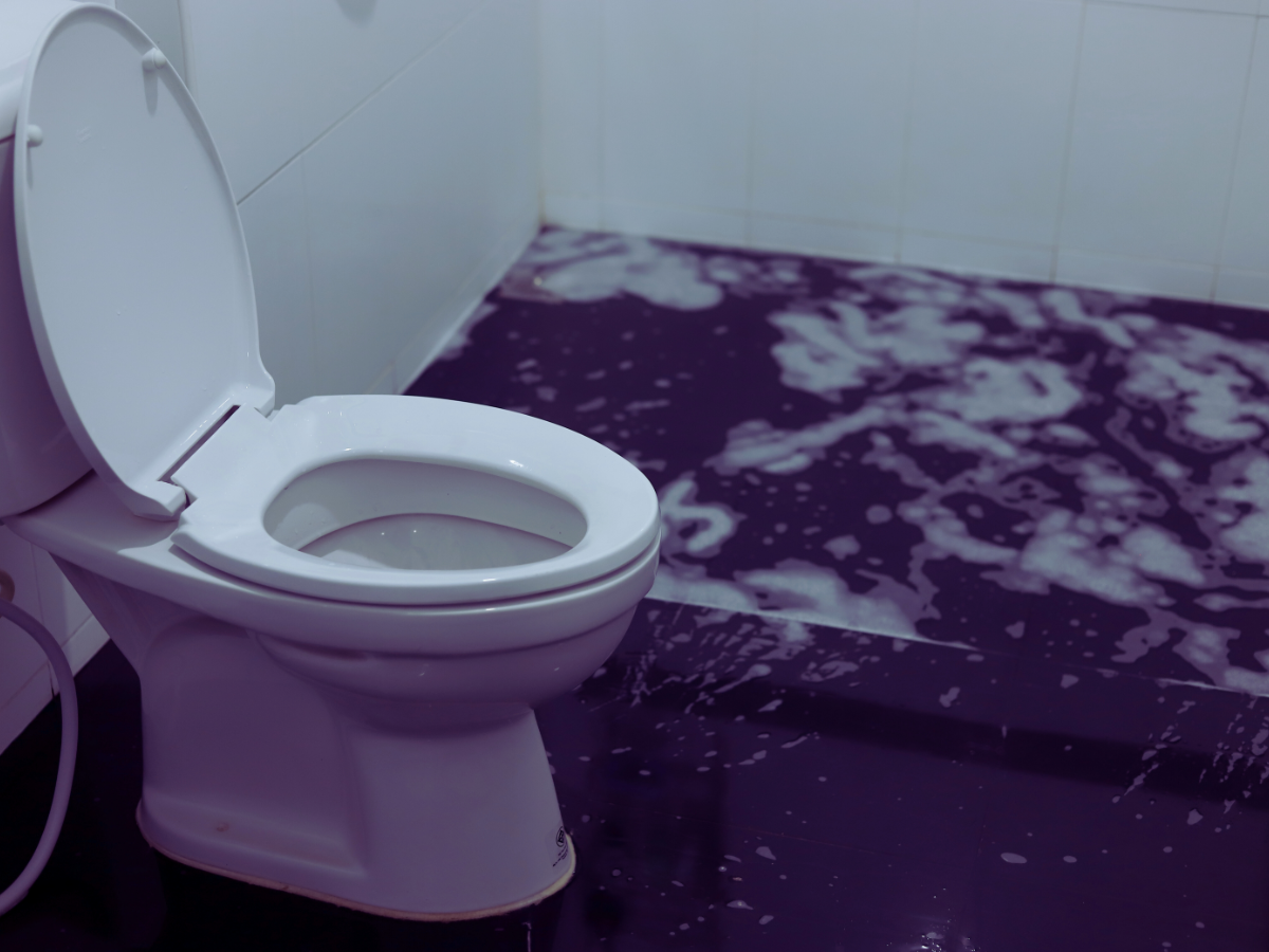 toilet leaking from bottom 